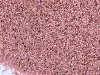 AUSTRALISK GRANETSAND 80 mesh
